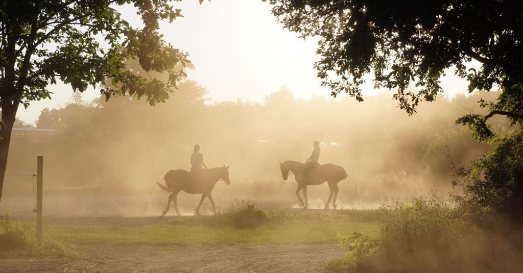 30. - 31.05.2026 - 35 Jahre Gutshof Langerwisch