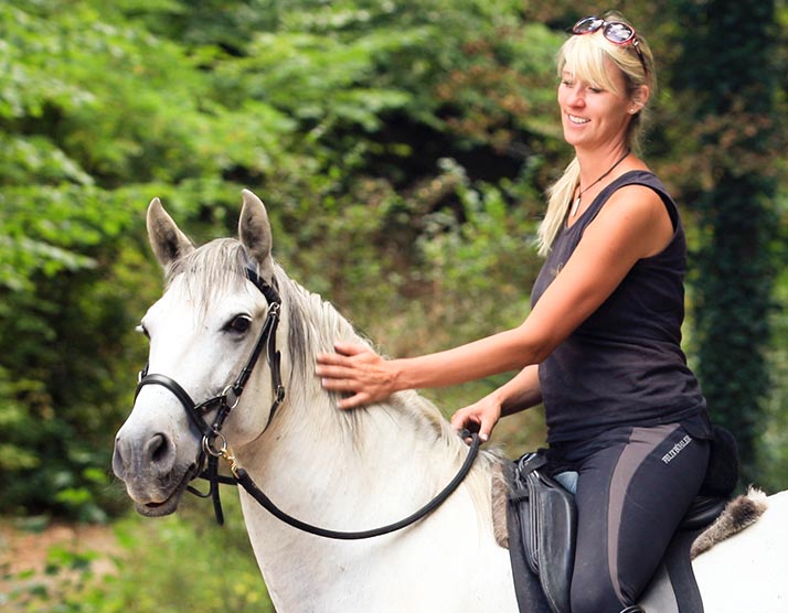 Meine erste Lehr-DVD: Gebissloses Reiten